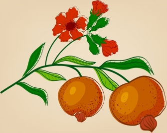 flower fruit drawing pomegranate icon colored handdrawn sketch