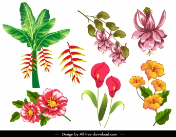 flowers icons colorful classical design