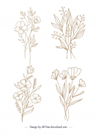 flowers icons handdrawn sketch classical design