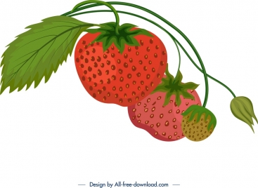 fresh ripe strawberry icon colorful classical design