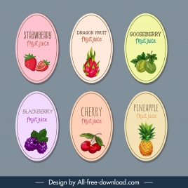 fruits labels templates colored classical flat design