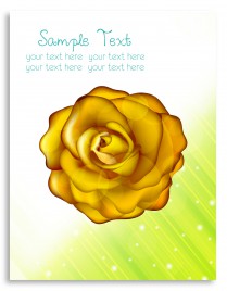gold rose vector on card design