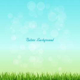 grass and sky nature background