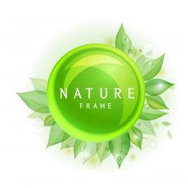 green nature circle leaf frame