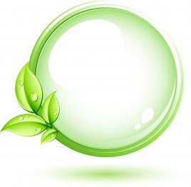 Green plant and circle
