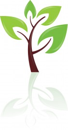 Green tree design element