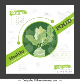 healthy food banner chayote sketch classical design