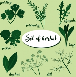herbal icons sets various green types
