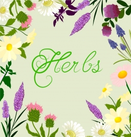 herbs background colorful flowers decoration calligraphic design