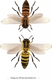 honeybee background colored mockup icons decor