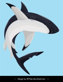 hunting shark painting colored cartoon sketch