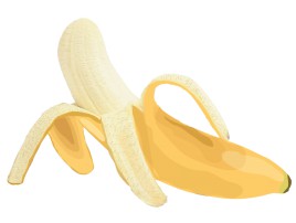 illustrated banana