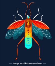 insect icon closeup design colorful flat symmetric sketch