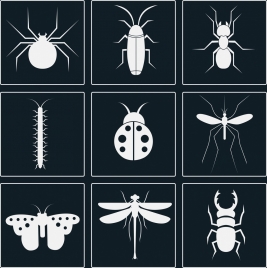 insect icons sets white silhouettes design various types