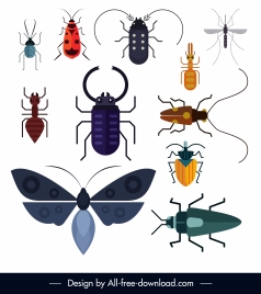 insect species icons colored flat design