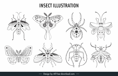 insects species icons black white handdrawn sketch