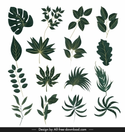leaf icons green shapes sketch