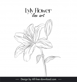 lily flower line art design elements black white handdraw