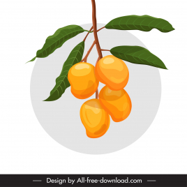 mango branch icon flat classical fruit leaves sketch