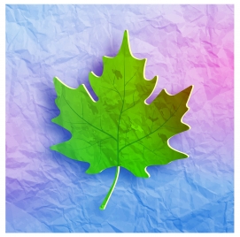 maple leaf on grunge paper