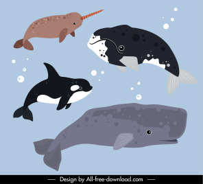 marine animals icons whales species sketch
