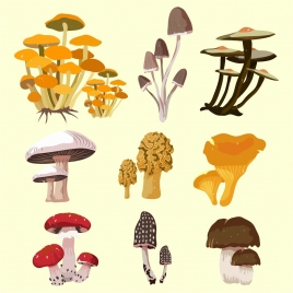 mushroom icons isolation 3d multicolored design various types