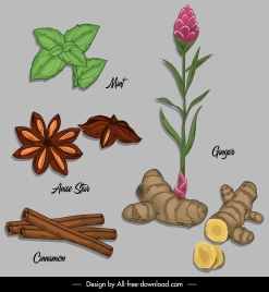 natural herb icons colored classical design