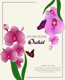 nature background purple orchids flowers ornament