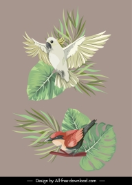 nature design elements bird species leaf sketch