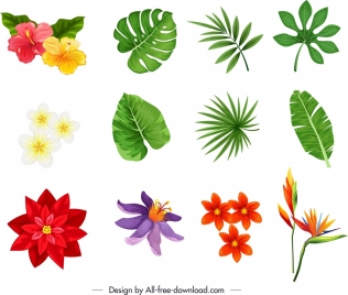 nature design elements colorful petals leaf sketch