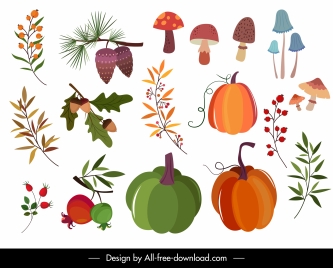 nature design elements mushroom pumpkin leaf sketch