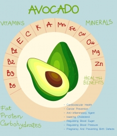 nutrition infographic avocado icon circle design