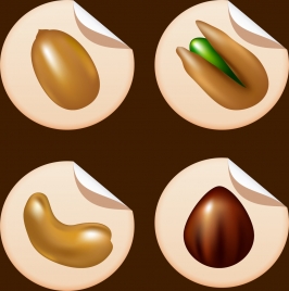 nuts icons isolation shiny 3d design