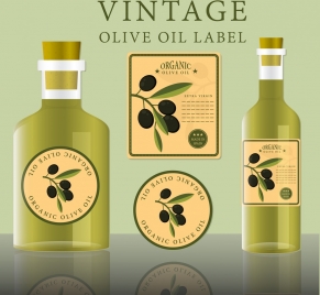 olive oil label design bottle icons various shapes