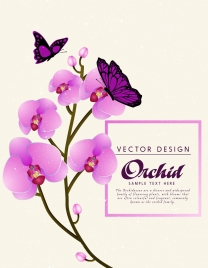orchid background violet butterfly icons decoration