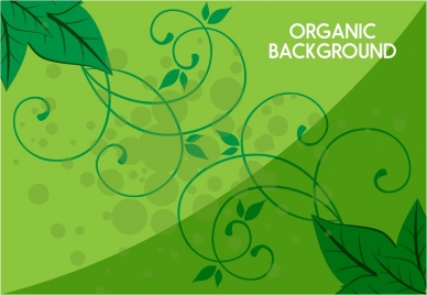 organic background leaves and curved decoration in green