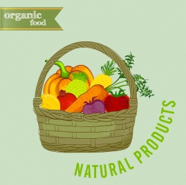organic food advertising fruit basket icon multicolored design