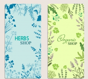 organic herbs advertisement colored flowers decoration
