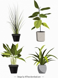 ornament plant pots icons green leaves sketch