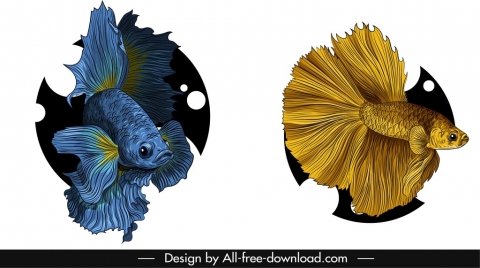 ornamental fish icons elegant blue golden sketch