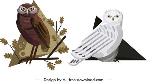 owl animal icons brown white design cartoon sketch