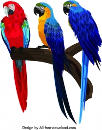 parrots painting perching bird school icon colorful design