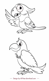 parrots species icons black white handdrawn sketch