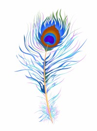 Peacock feather (Watercolor)