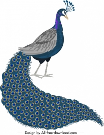 peacock icon elegant long tail decor cartoon design