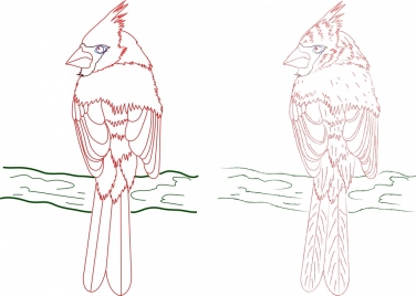 perching bird icons colored hand drawn outline