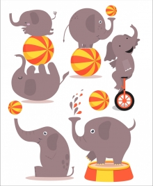 performing elephant icons colored cartoon design