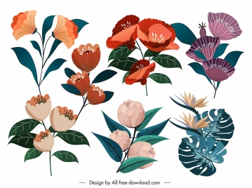 petals icons colorful classical design