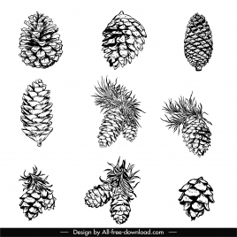 pine cone icons black white classic handdrawn sketch