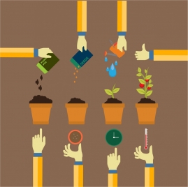 planting process concept design with infographic style
